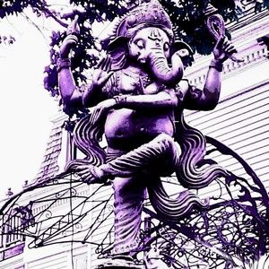 Meet your Posher, Renee